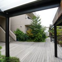 杉並区井草の賃貸物件/共用部分も緑がもさもさしてます