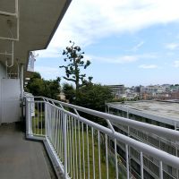 大田区東雪谷の賃貸物件/バルコニーから中庭の木々