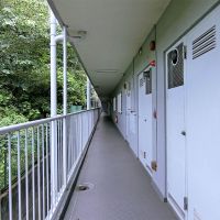 大田区東雪谷の賃貸物件/玄関を開けると、迫りくる緑