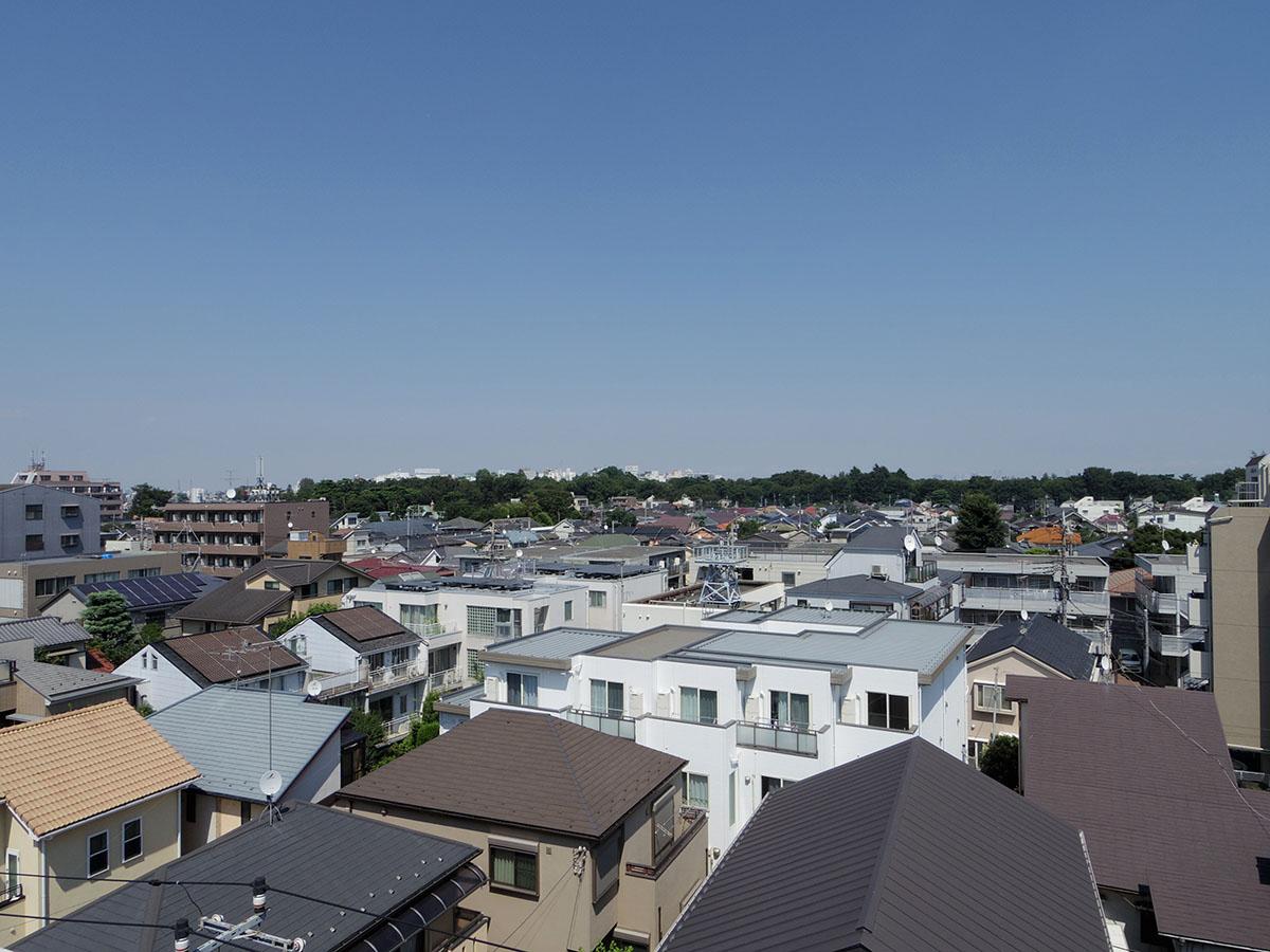 井の頭公園の木々が、緑の地平線をつくり出す