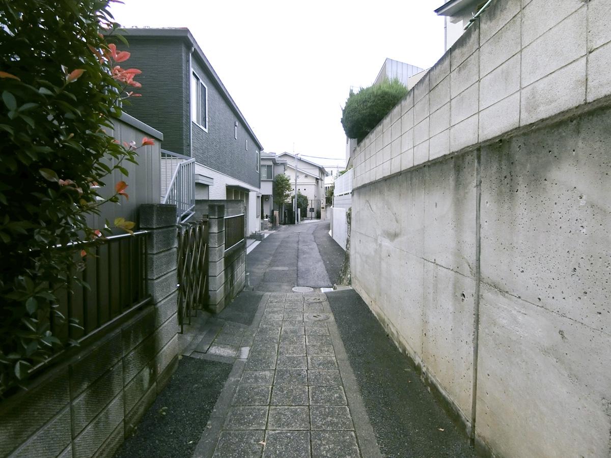 駅からはこんな道を入っていきます