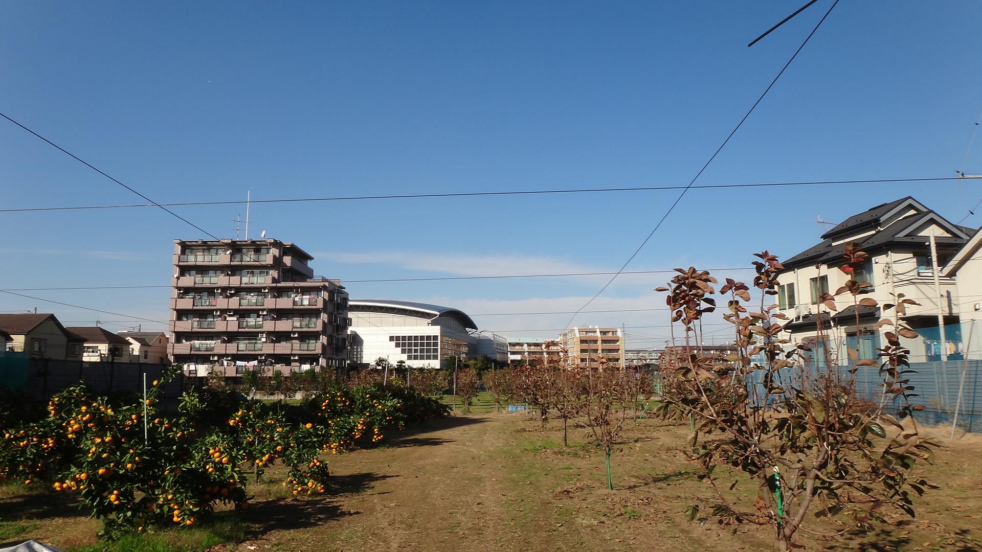 川崎市高津区二子の賃貸物件/建物の隣は果樹園になっています。