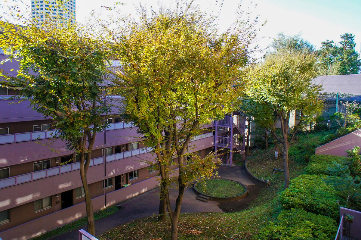 中庭