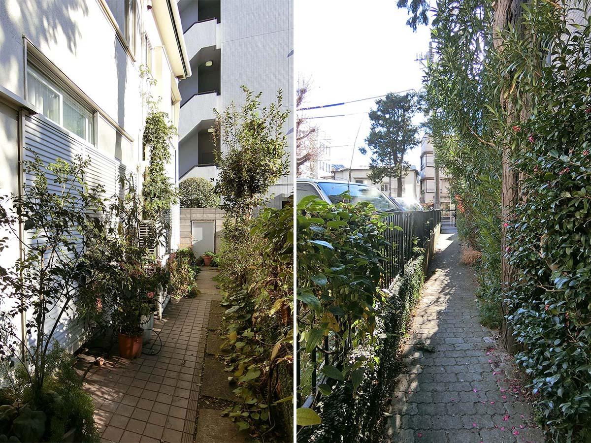 緑がもさもさと生えるアプローチ