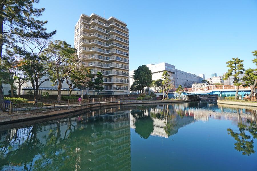 横十間川親水公園に隣接しているマンション