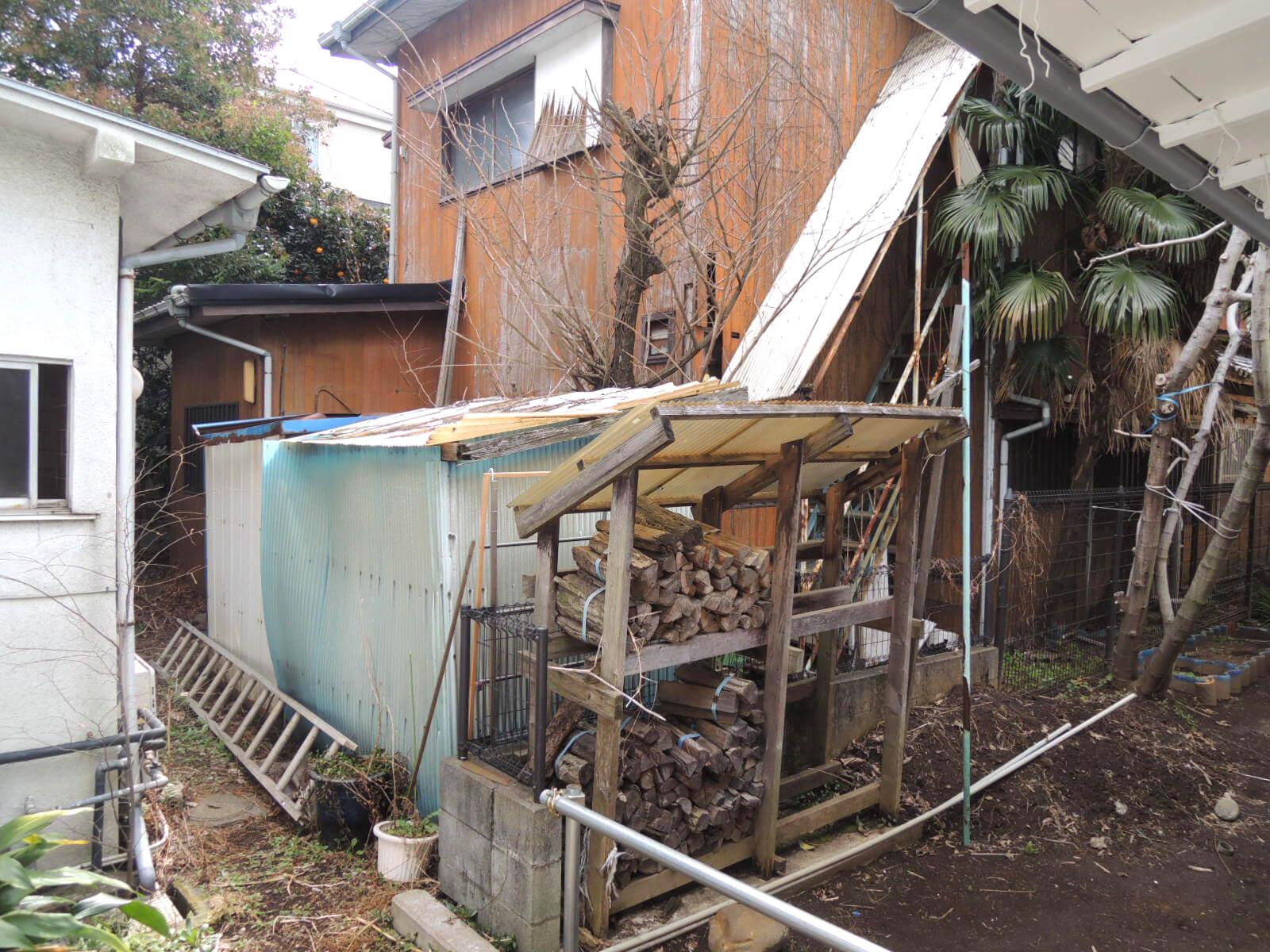 室内から見る庭はなかなかのワイルドビュー。