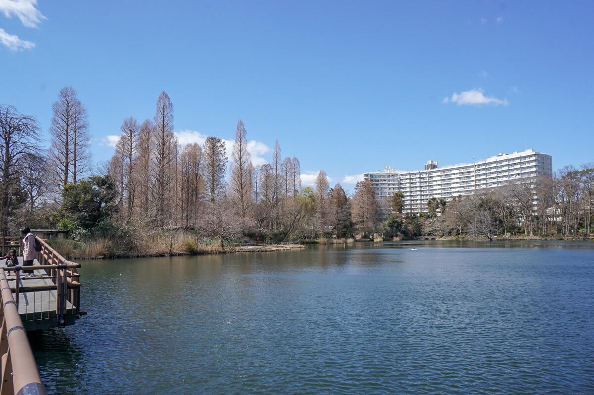 井の頭公園にきたことがあれば、一度は見たことがあるはず、というマンション