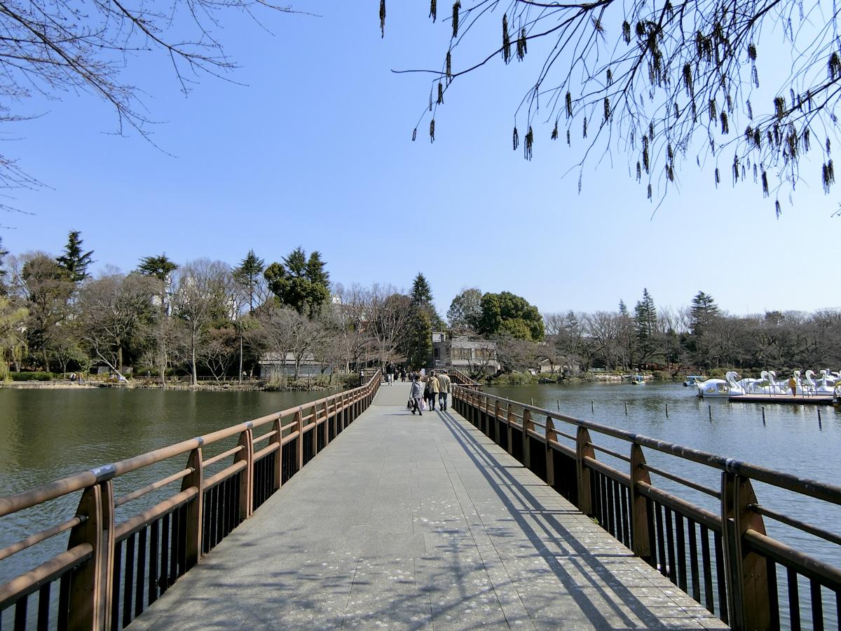 三鷹市牟礼の売買物件/井の頭公園：吉祥寺駅からはこの橋を渡って家に帰ります