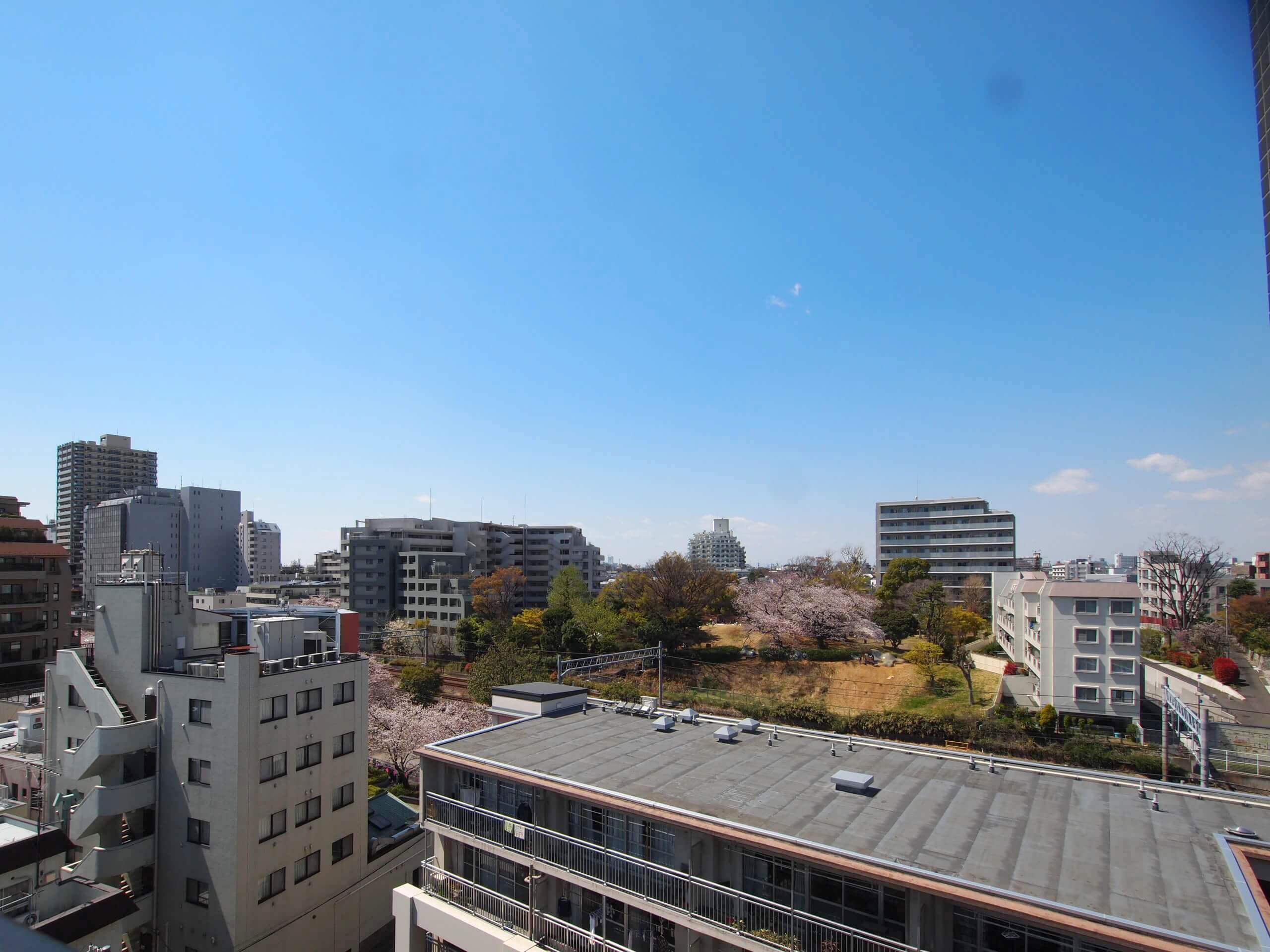 大森貝塚遺跡公園が見える