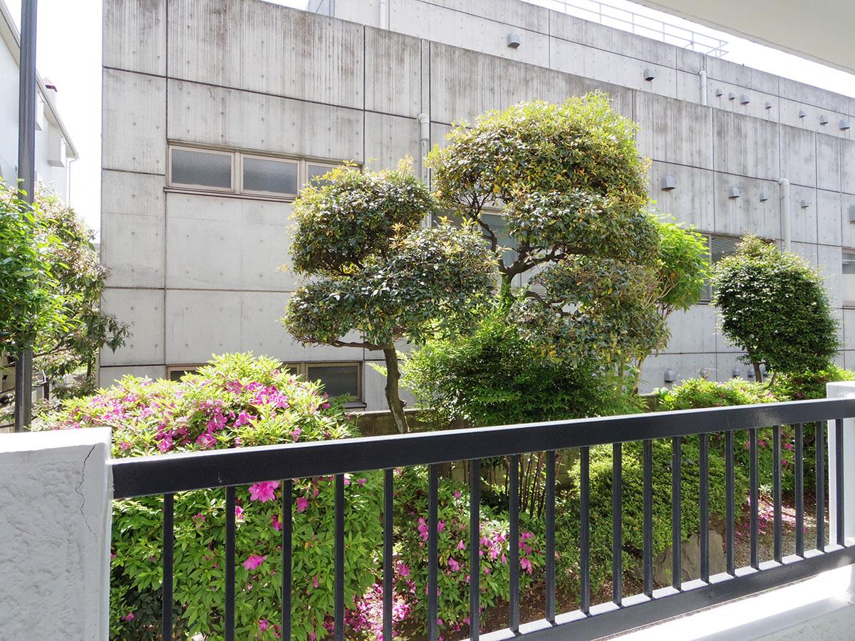 窓の外には敷地の植栽