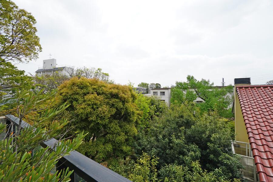 LDKからの眺望。手前の緑は隣地の木々。鳥のさえずりが聞こえてきます