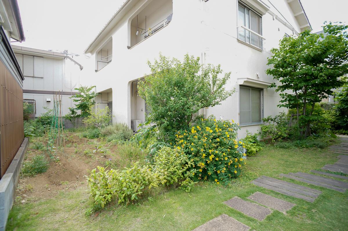 建物前の畑