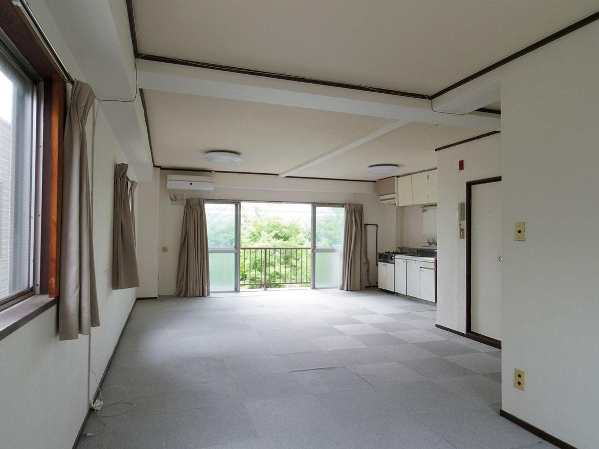 室内に入ると、もさもさの緑が目に飛び込んでくる