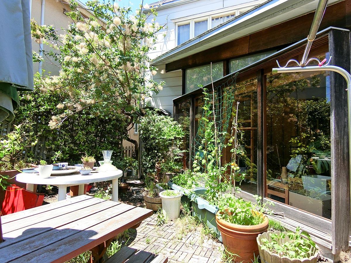 庭から広縁方向。窓を開け放ったら、気持ちよさそう!庭にはスモークツリーが植えられている