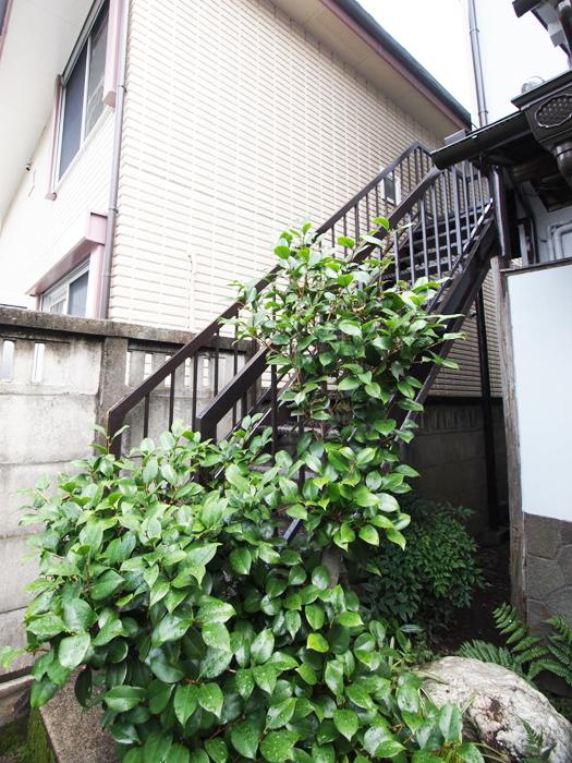 鉄の外階段で2階へ ©Akira Nakamura