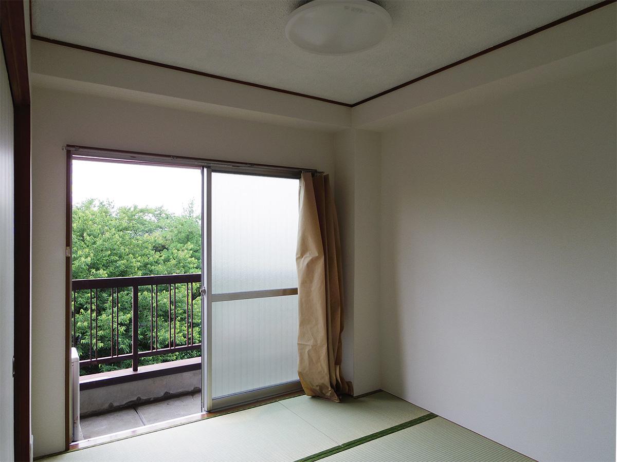こちらからも緑ビュー