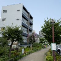 世田谷区池尻の賃貸物件