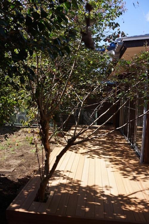 茅ヶ崎市矢畑の賃貸物件/LDKをぐるっと取り囲むデッキ