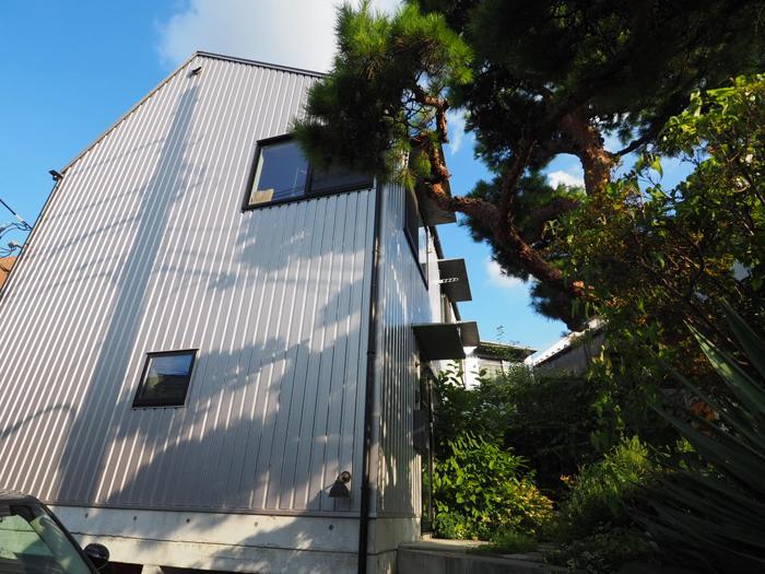 杉並区善福寺の賃貸物件/外観。道から数段階段を上がった高い位置に立っている。建物と同じ高さの大きな松が出迎えてくれる