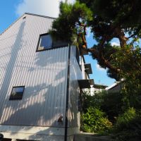 杉並区善福寺の賃貸物件/外観。道から数段階段を上がった高い位置に立っている。建物と同じ高さの大きな松が出迎えてくれる