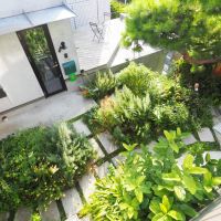 杉並区善福寺の賃貸物件/2階から中庭を見下ろす