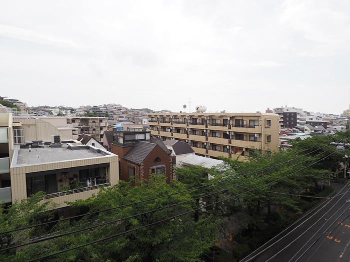 抜けた視界と足元には桜並木