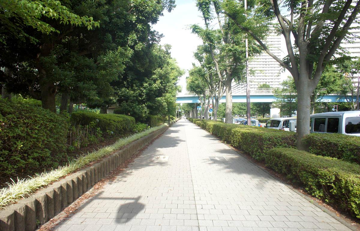 駅までの歩道は歩きやすい