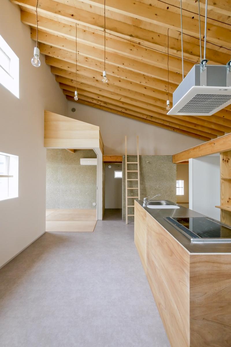 杉並区大宮の賃貸物件/天井がかなり高く開放的。山小屋にいるような雰囲気（新築竣工時写真）