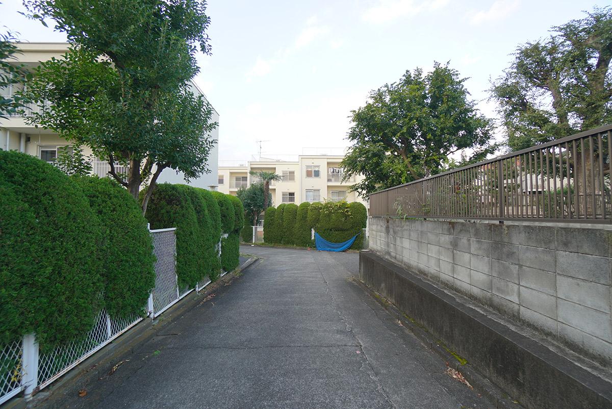 西側隣地の通路部分。この余白がこの土地の豊かさを生んでいます