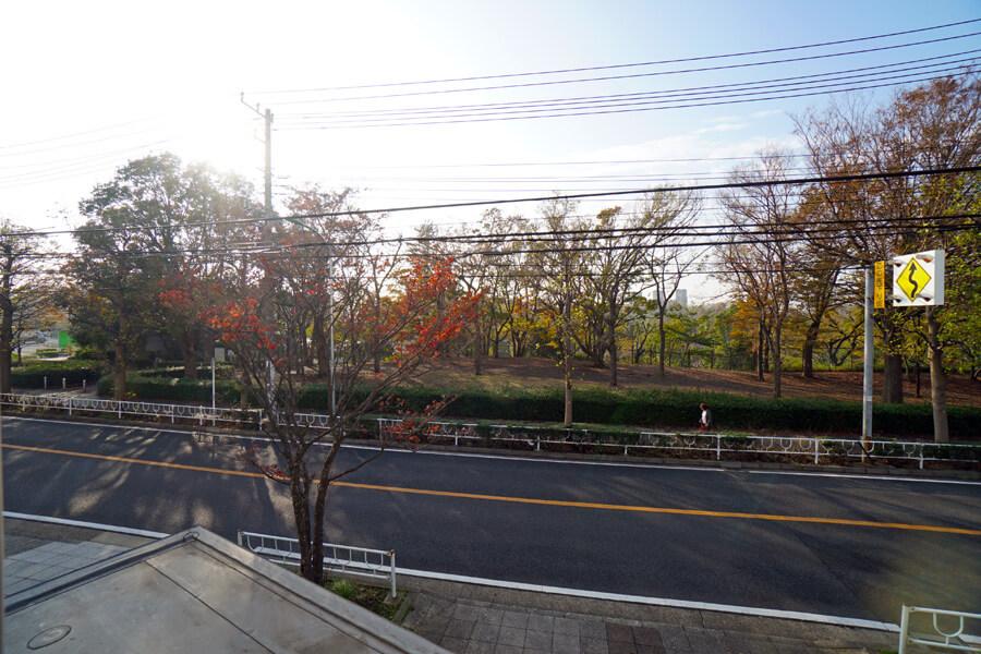 どの窓からも根岸森林公園の緑が見えます。夏はセミの鳴き声が聞こえ、秋は紅葉がきれい