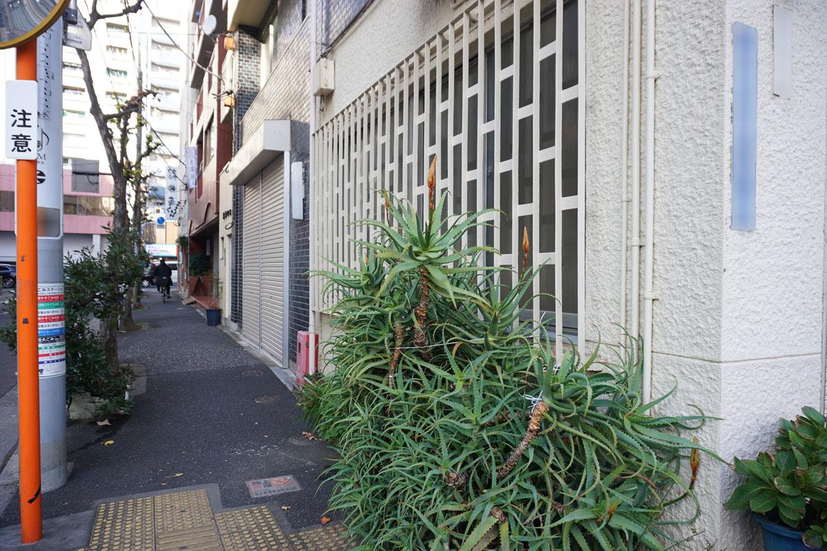 建物前のアロエの撤去については相談