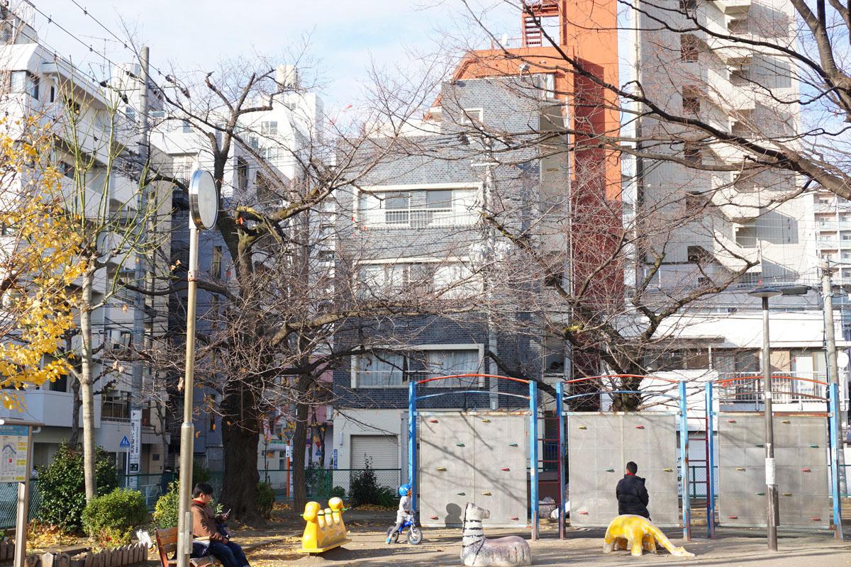 向かいの公園から建物を見た様子