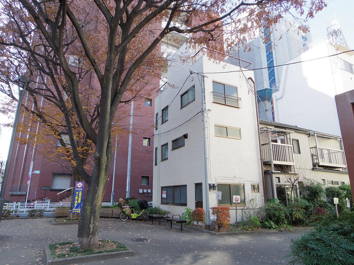 公園側から見た建物