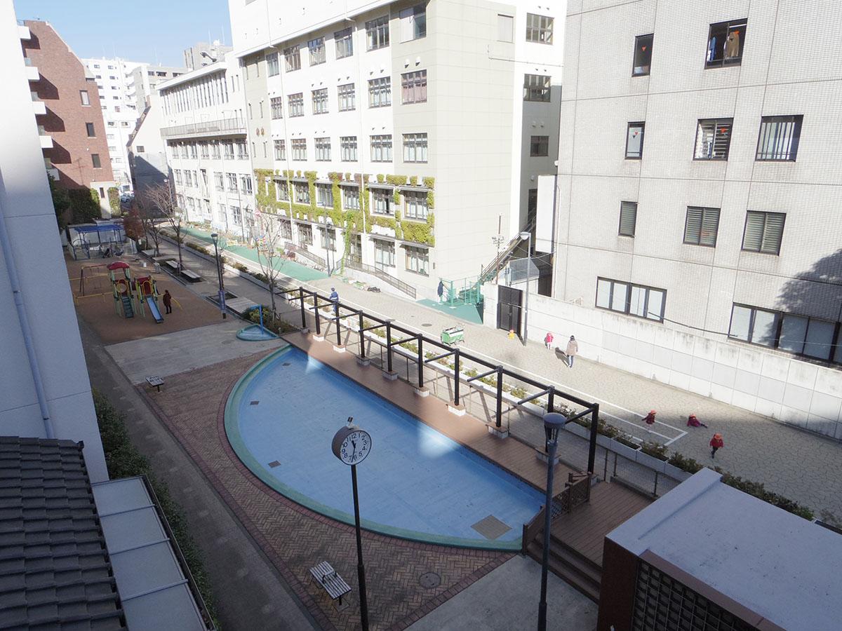 屋上から下を見ると公園。夏の間は青いプールに水が張られ、子どもで賑わう