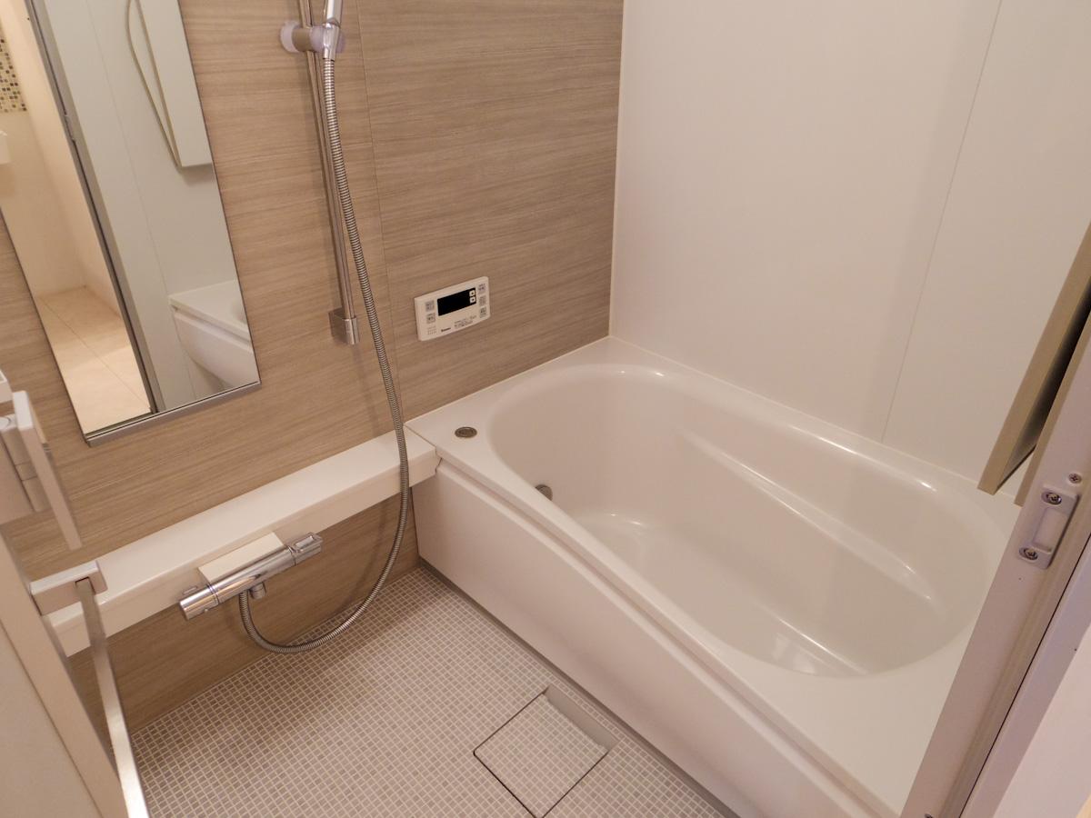 水周りはとてもきれいな状態でそのまま使える