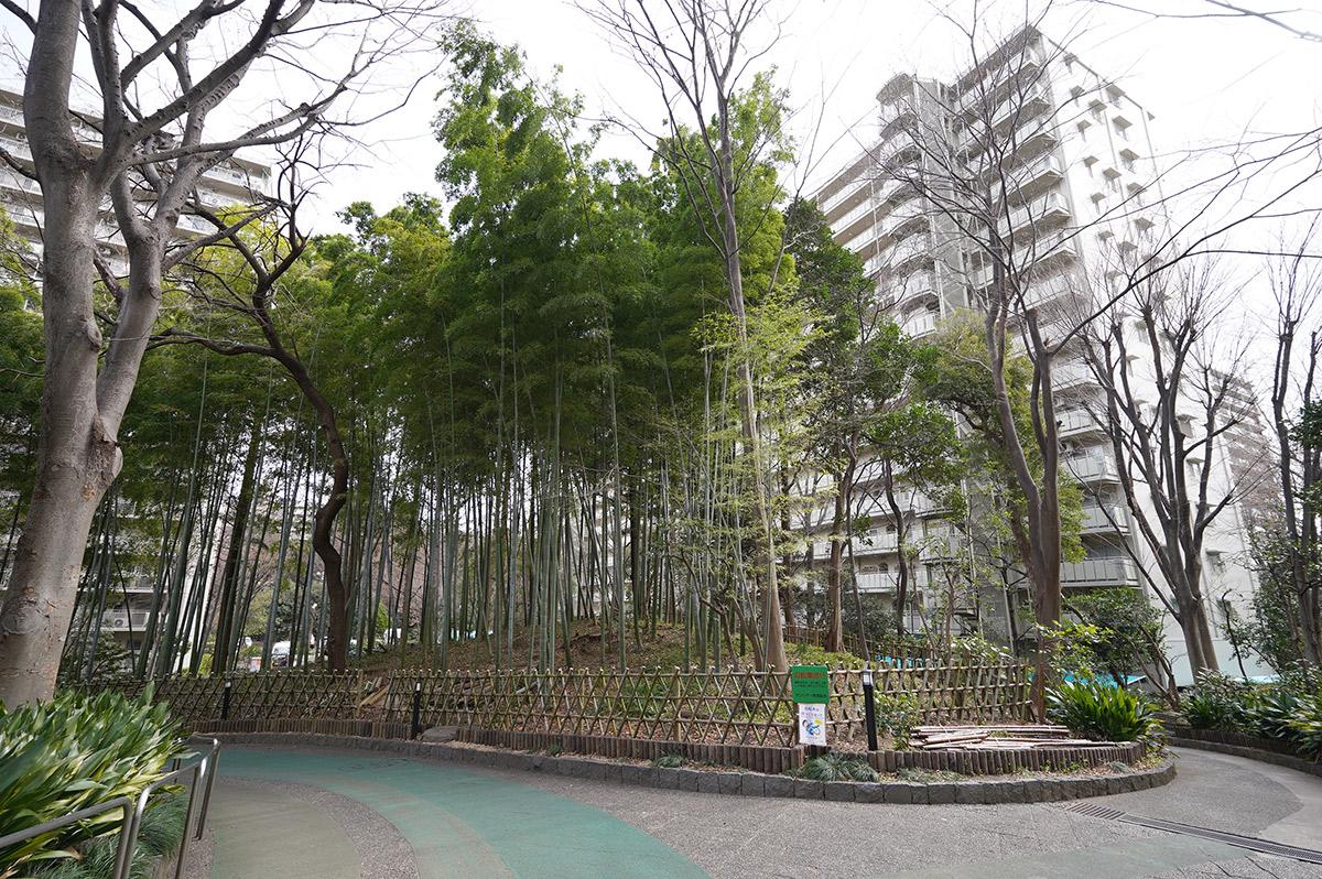 とにかく広大な敷地には竹林があったり