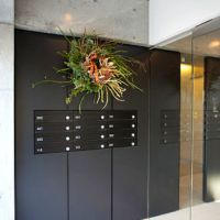 目黒区駒場の賃貸物件/エントランスにオーナーの心配りが感じられる正月飾り（年始の様子）