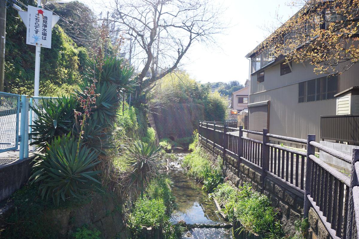 水がきれいで近くではホタルもでるとか