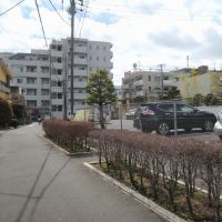 横浜市神奈川区六角橋の賃貸物件/家の前はほとんど車が通らないのどかな道