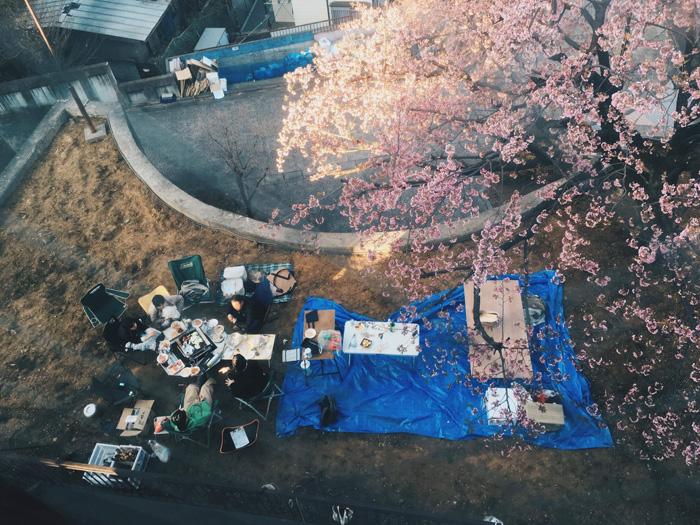 去年のお花見
