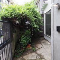 板橋区徳丸の賃貸物件/緑が茂る前庭スペース（写真は夏のもの）