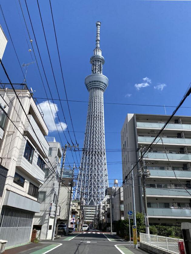 スカイツリーが迫ってきそうな距離に