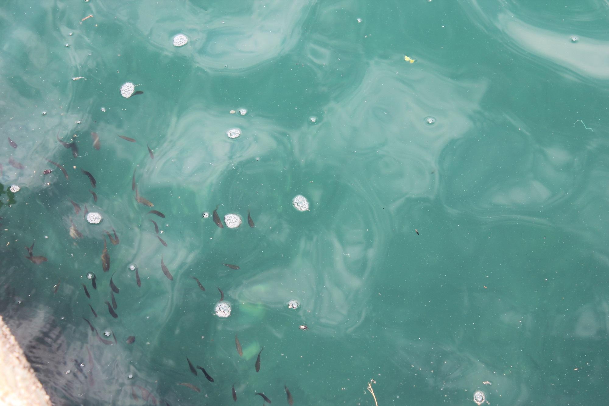 山形県鶴岡市堅苔沢の売買物件/目の前の漁港は魚影が濃い。釣り好きが集います。