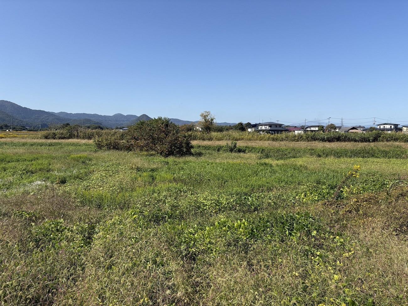 山形県山形市大字片谷地の売買物件/果樹園や家庭菜園のような畑用途が現実的かもしれません。