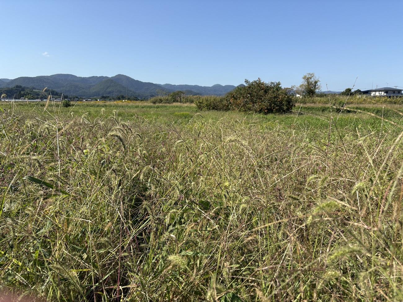 山形県山形市大字片谷地の売買物件/自然の中で土に触れ、自分が育てた作物と向き合う時間。思うように育たないこともあれば、想像以上の実りに感動する瞬間もある。