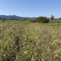 山形県山形市大字片谷地の売買物件/自然の中で土に触れ、自分が育てた作物と向き合う時間。思うように育たないこともあれば、想像以上の実りに感動する瞬間もある。