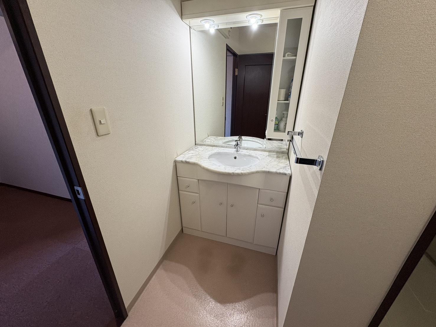 山形県上山市宮脇の売買物件/使いやすさ重視の洗面台。