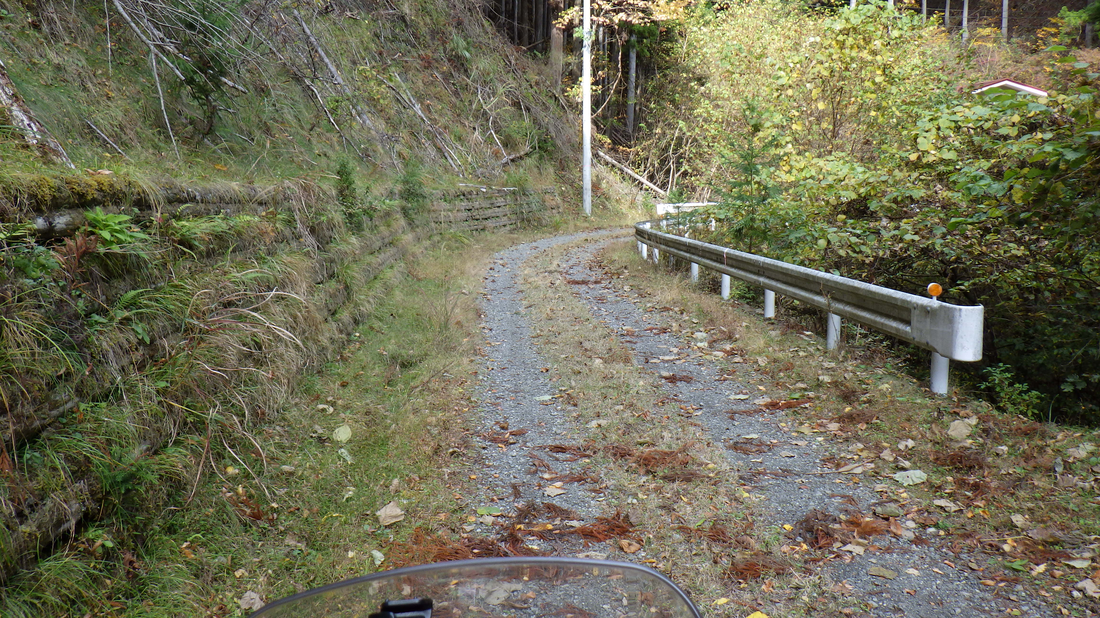 林道の画像
