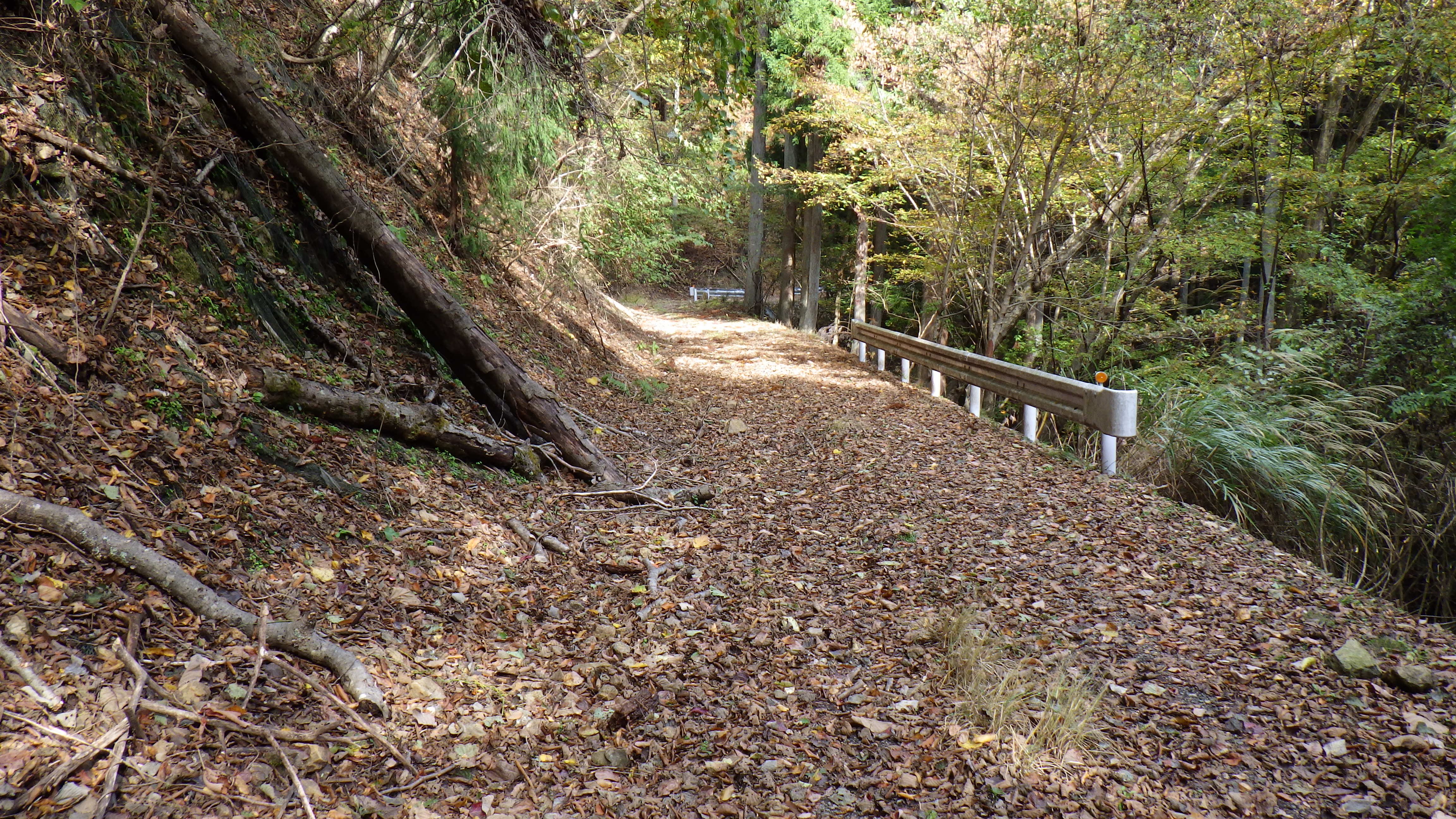 林道の画像