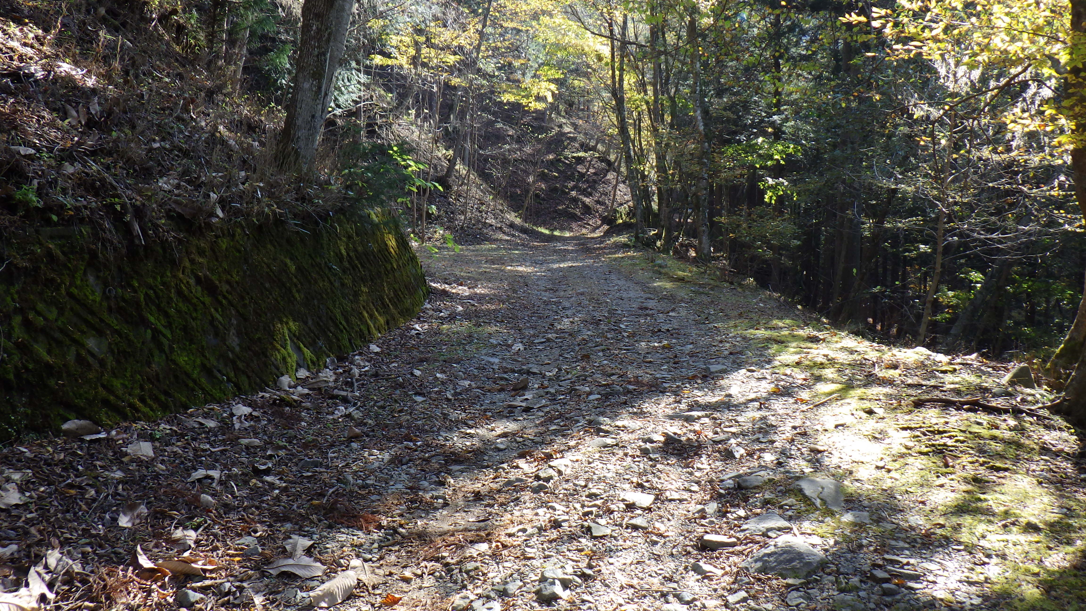林道の画像